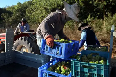 ඊශ්රායල් රැකියා