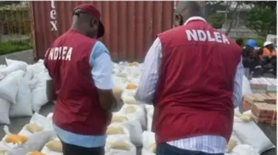 Awọn oṣiṣẹ ajọ NDLEA meji kọyin si kamẹra, wọn wọ aṣọ to ni akọle ajọ naa le ori aṣọ ti wọn wọ tẹlẹ. Awọn apo oogun oloro kunlẹ kitikiti bawọn ọkunrin oṣiṣẹ meji naa ṣe n ṣe akọsilẹ wọn ninu aworan yii.