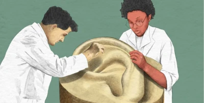 የጆሮ ኩክ