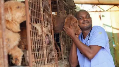 Dr Mark Afua, a vet in Lagos wearing blue scrubs and a stethoscope, hugs a brown dog whose head is pocking out of a metal cage. Other caged dogs can be seen 