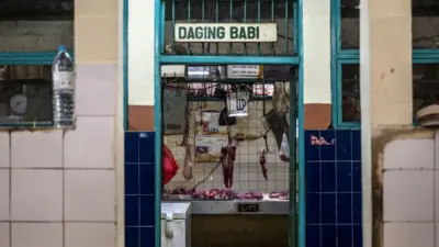 daging babi