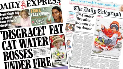 Daily Express and Daily Telegraph