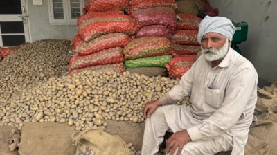 ਪੰਜਾਬ ਦੇ ਆਲੂ ਉਤਪਾਦਕ ਦੀ ਤਸਵੀਰ 