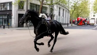 Одбегли коњи галопирали улицама Лондона