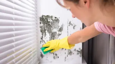 زنی در حال پاک کردن کپک روی دیوار