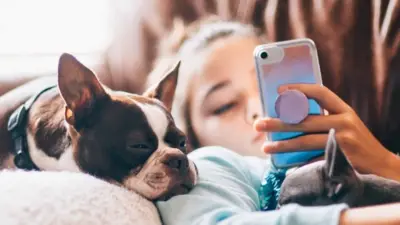 A stock photo of a girl and her dog looking at a phone on a couch