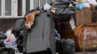 A cat rummages through furniture and uncollected refuse bags. Rubbish is piling high and there are also some fly-tipped pieces of rubbish.