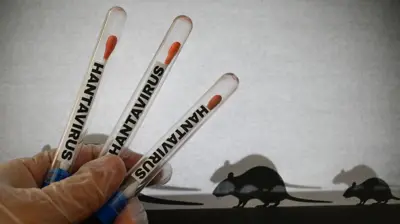 Gambar ilustrasi pengujian hantavirus dengan tabung laboratorium berisi cotton bud dan label HANTAVIRUS di samping siluet tikus di latar belakang. 