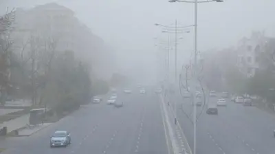 Тошкент кўчасидаги чанг ва машиналар. 