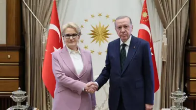 Cumhurbaşkanı Erdoğan ve Meral Akşener el sıkışıyor