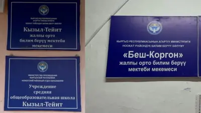 Ош облусунун Ноокат районундагы бир имаратта жайгашкан эки мектептин аталышы жазылган тактайчалар