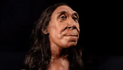 Model tiga dimensi yang direka ulang berdasarkan temuan tengkorak dan tulang-tulang Neanderthal. 