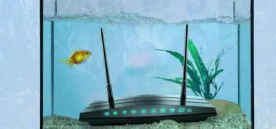 Wifi kutusu bir akvaryumun içine koymuş bir çizim var. Tek başına bir sarı balık da var çizimde.