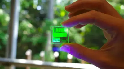 پی ای ایل ای ڈی ہیلیو 