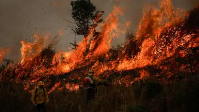 Incêndio na Floresta Amazônicabrabet ta pagandoApuí, no Amazonas