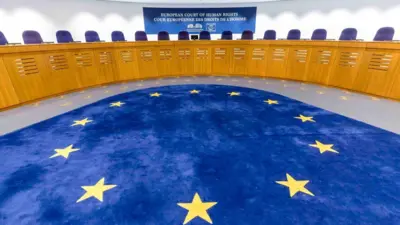 Yerde üzerinde yıldızlar olan bir halı. Arkada kürsü ve Avrupa İnsan Hakları Mahkemesi yazısı