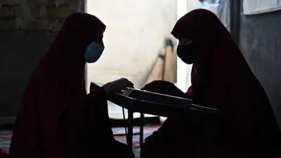 तालिबान के शासन में लड़कियों की उच्च शिक्षा पर बैन है