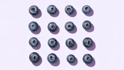 Açık mor bir arka plan üzerinde kare şeklinde dizilmiş yaban mersinleri