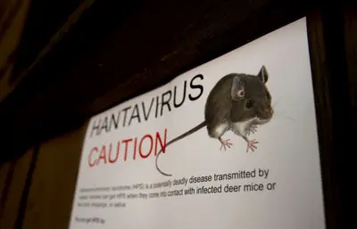 Hantavirus husambazwa na panya