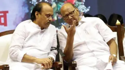 शरद पवार के साथ अजित पवार