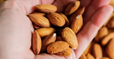 Bir avuç badem tutan bir eli yakından görüyoruz.