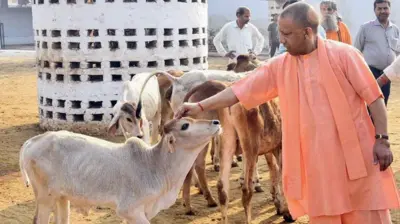 योगी आदित्यनाथ