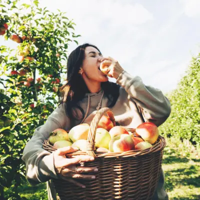 Elma bahçesinde bir kadın bir elinde elma dolu bir sepet tutuyor ve diğer eliyle de bir elmayı ısırıyor