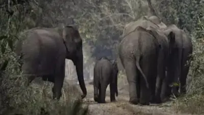 कतर्नियाघाट सेंक्चुरी