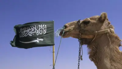 சௌதி அரேபியா, ஒட்டகங்கள், பாஸ்போர்ட், விலங்குகள் 