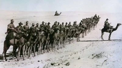 عکس قدیمی صفی از شترها و سواره نظام در صحرا، فرمانده گروهان جلوی صف ایستاده است و یک سواره نظام با شتر در انتهای تصویر دور از گروهان دیده می‌شود