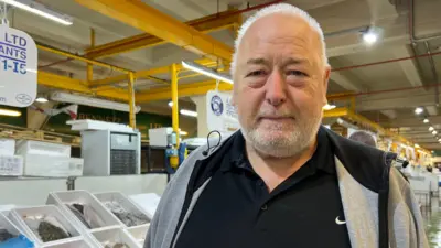 Tony is looking into the camera, wearing a black top and grey hoodie. He has short white hair and a white beard. He is stood in front of trays of raw fish in an aisle at Billingsgate fish market. 