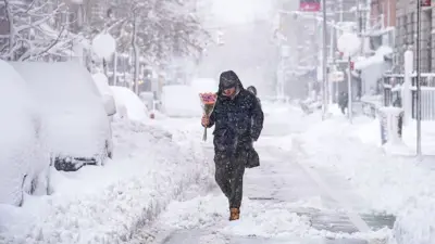 A person walks through a snow filled street carrying a bundle of pink flowers