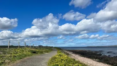 Photograph of a coastal path with a field of yellow flowers on the left hand side and the sea on the right side. Sunny spells with fluffy white cloud in the sky.