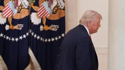 Image shows Donald Trump