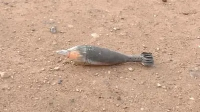 Igisasu cyabonetse muri zone Musaga