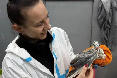 Волонтерка с птицей