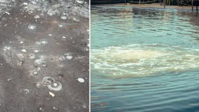 Gas bubbles for di school field for Bille and gas wey dey bubble for di river for Bille Kingdom for Degema LGA of Rivers State
