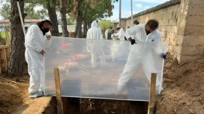 Cientistas preparam uma vala para colocar o corpo de um animal e analisar seu processo de decomposição