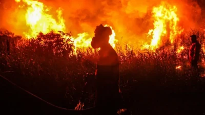 Osoba w masce przechodzi obok palących się krzaków.