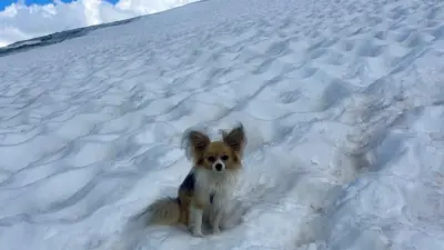 Filip en mitad de la nieve esperando a los rescatistas.