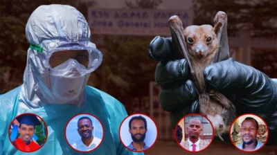 Jinkaatti namoota vaayirasii Marbargiin du&#x27;an