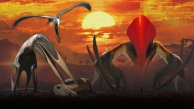 Pterossauros brasileiros 