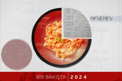 Ä°lÃ¼strasyon: bir tabak menemen, fiÅŸte sayÄ±lar