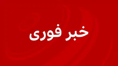 خبر فوری