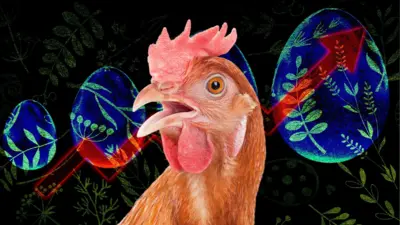 ціни на яйця