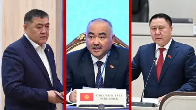 Ташиев, Шакиев, Зулушев