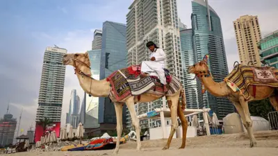 Dois camelos em uma praia vazia em Dubai (EAU), com arranha-céus ao fundo