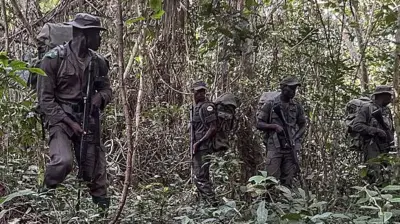 A makon da ya gabata ne gwamnatin Najeriya ta bayar da umurnin ɗaukar jami'an tsaron gandun daji 1,000 domin taimakawa wajen kuɓuto da malamai da ɗaliban da aka sace a jihar Oyo da ke kudu maso yammacin ƙasar.