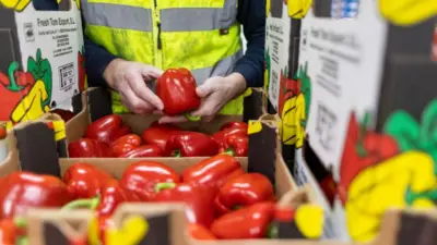 An employee checks boxes of red peppers imported from Spain at the D & F McCarthy Ltd.
