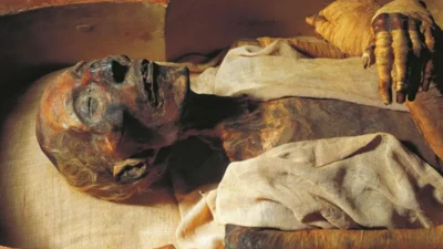 مومیایی رامسس دوم، پادشاه سلسله نوزدهم مصر باستان، (حدود ۱۲۹۷-۱۲۱۳ قبل از میلاد)  